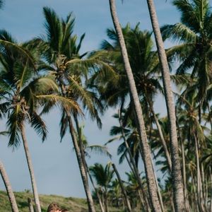 Meet your Posher, Theresa